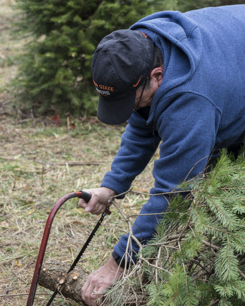 Christmas Tree Farm - Perry County, Pennsylvania - photography