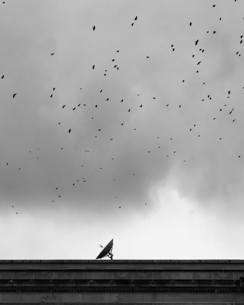 Capitol Complex - Harrisburg, Pennsylvania - fine art street photography