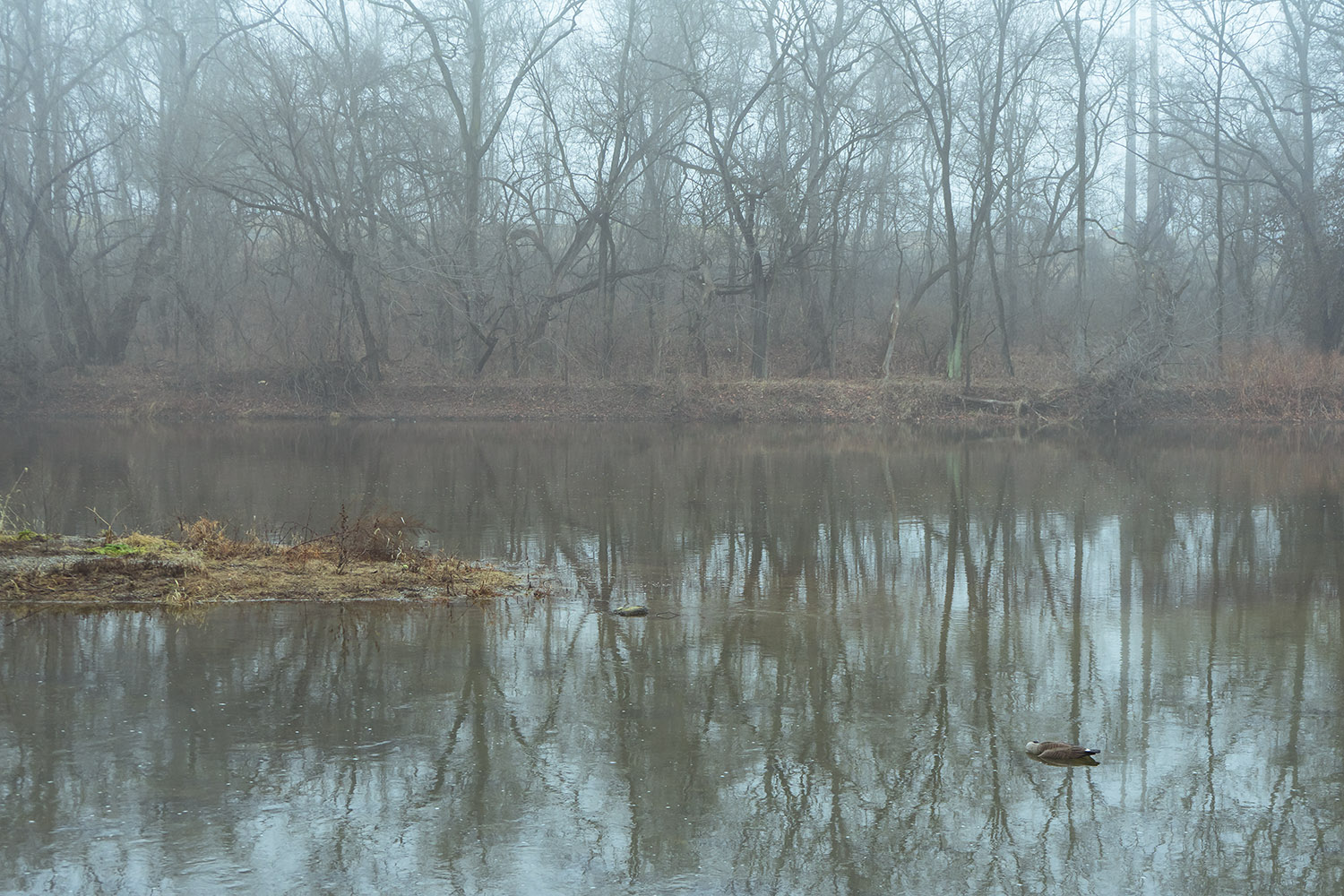 Conodoguinet Creek - Fine Art Photography - Harrisburg, Pennsylvania