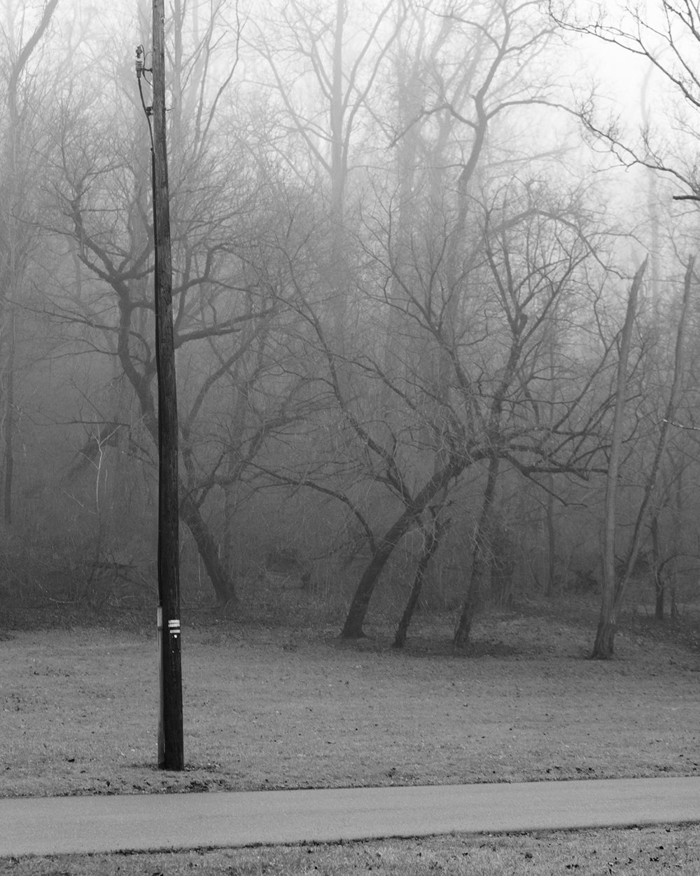 Foggy Landscape - fine art nature photography - Harrisburg, Pennsylvania