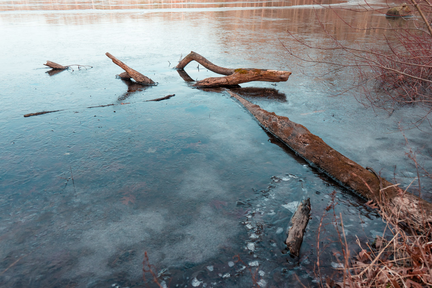 Gifford Pinchot State Park - Pennsylvania - fine art nature photography