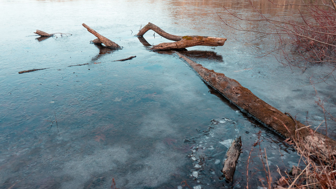 Gifford Pinchot State Park - Pennsylvania - fine art nature photography