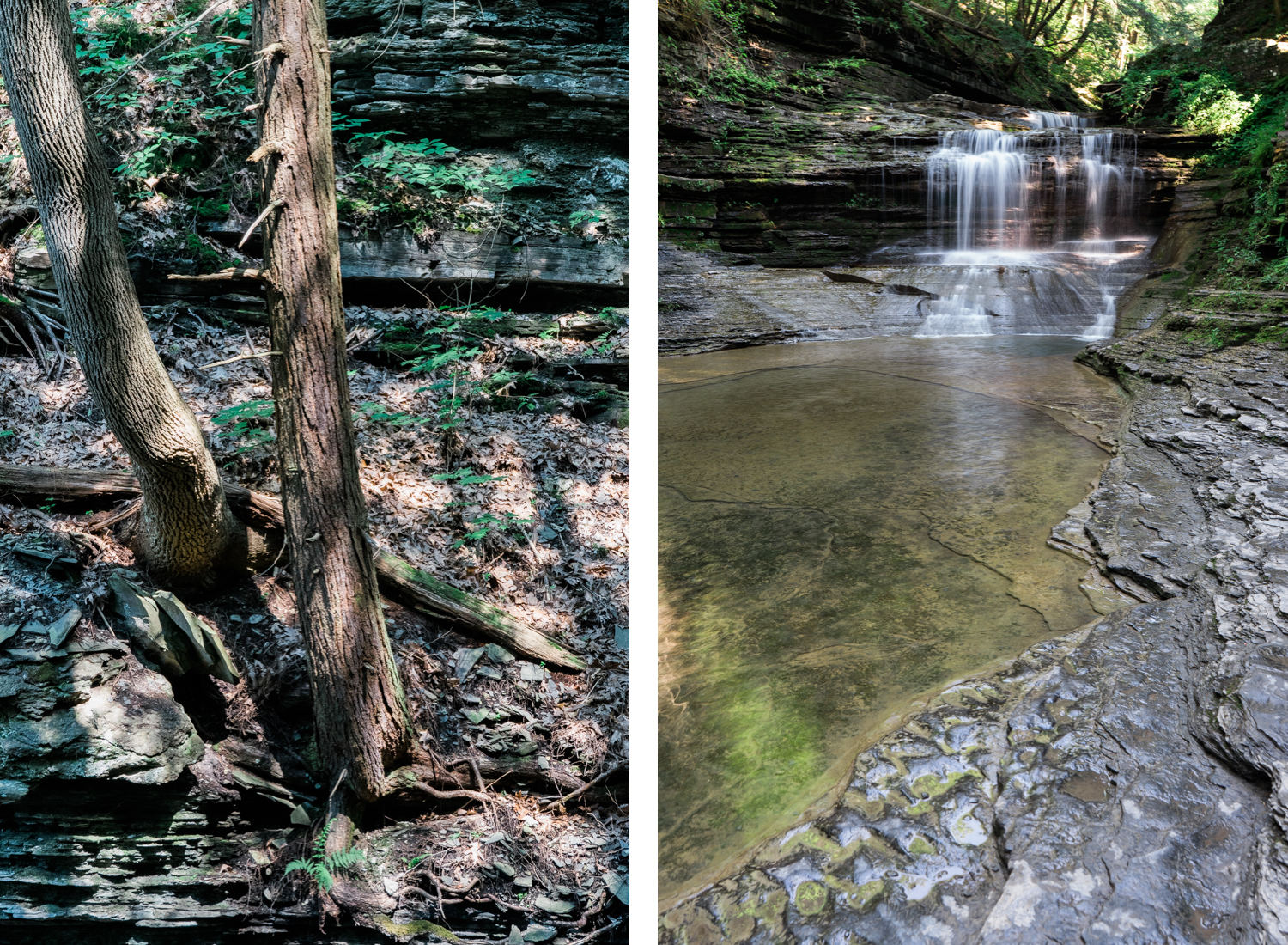 Buttermilk Falls State Park - Ithaca - New York - photography - nature - travel