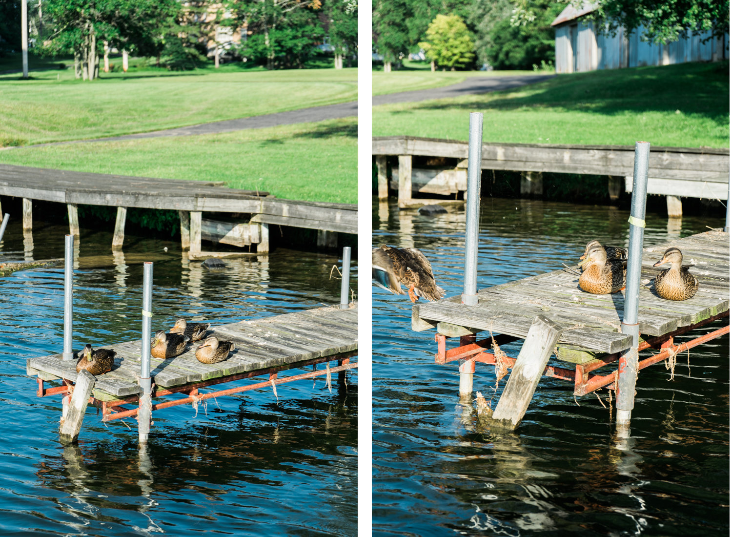 Owasco River - Finger Lakes - New York - NY - fine art photography