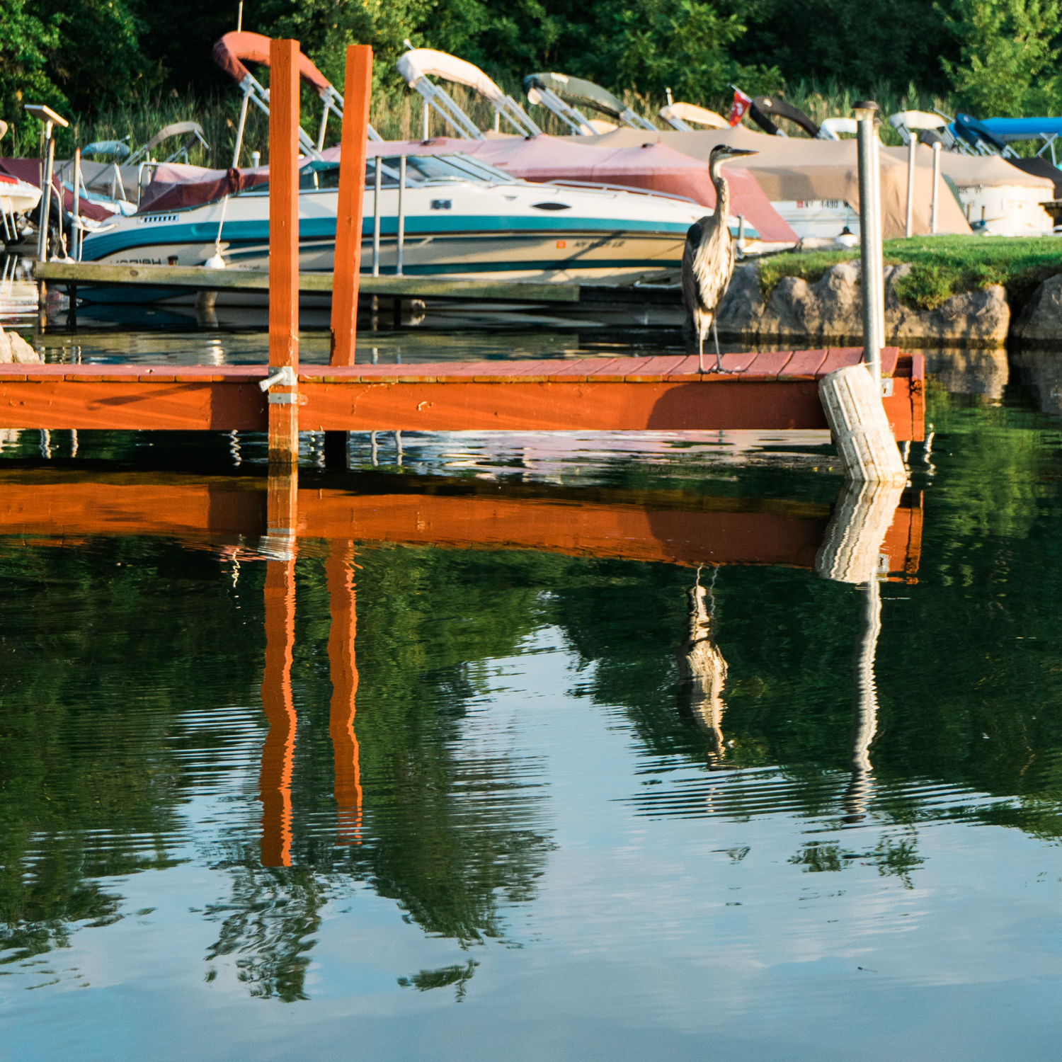 Owasco River - Finger Lakes - New York - NY - fine art photography