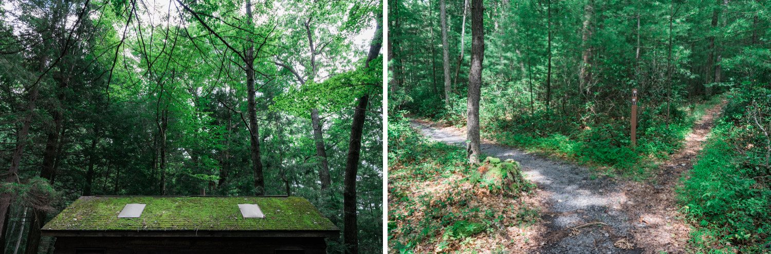 Penn Roosevelt State Park - Rothrock State Forest - Pennsylvania - photography- nature - travel