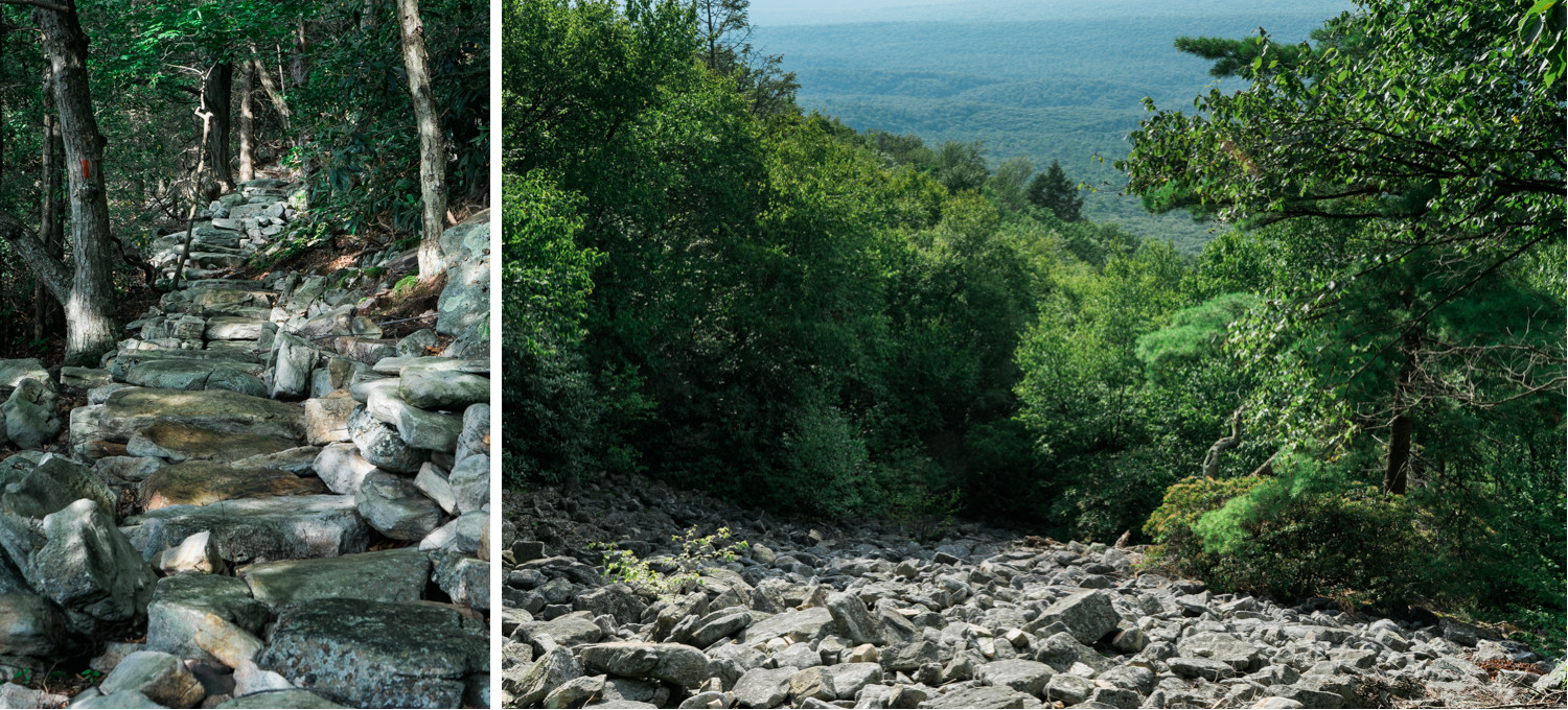 SST - Rothrock State Forest - Pennsylvania - travel nature photography