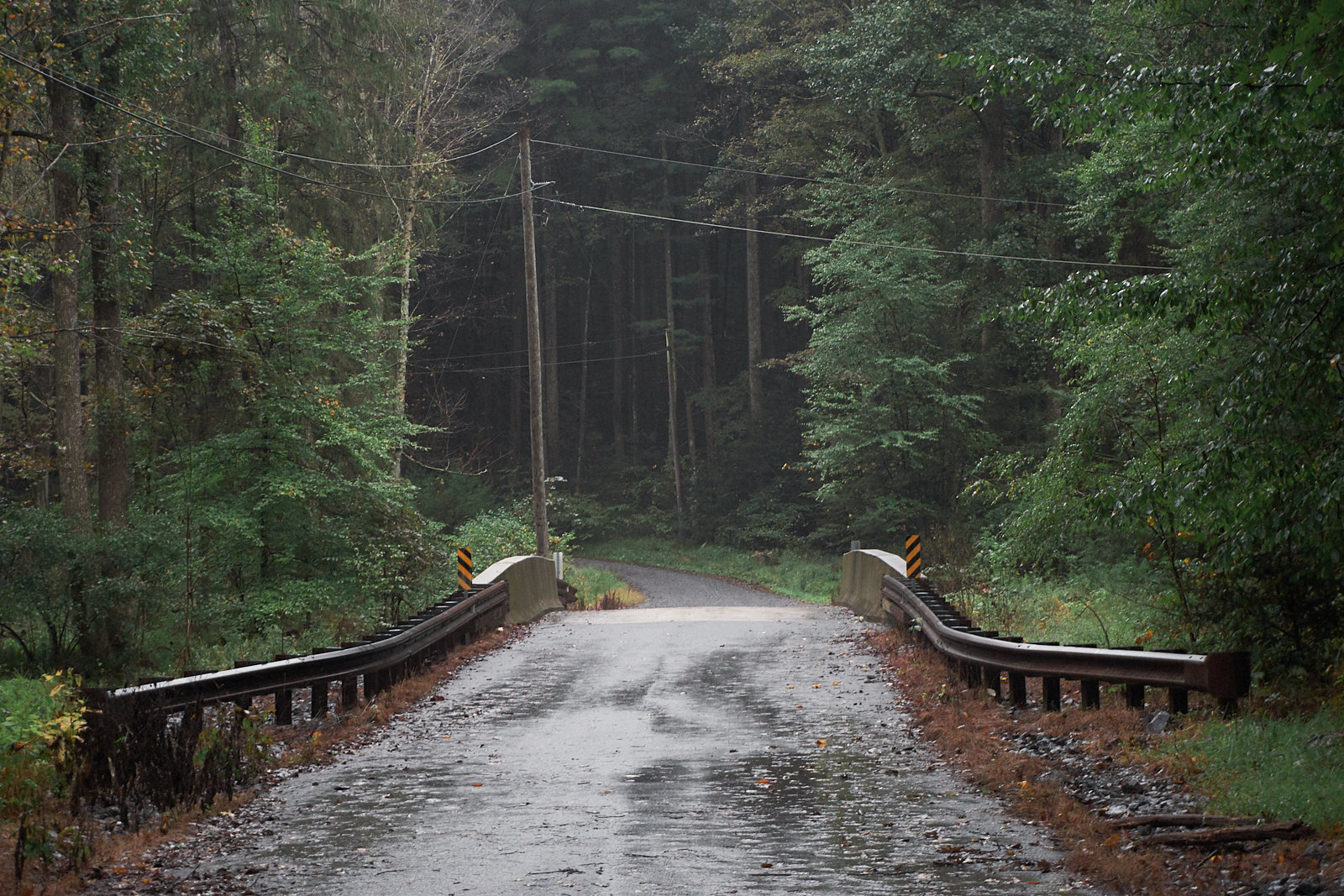 Tuscarora State Forest - Pennsylvania - nature - camping- hiking - backpacking - camping - fine art photography
