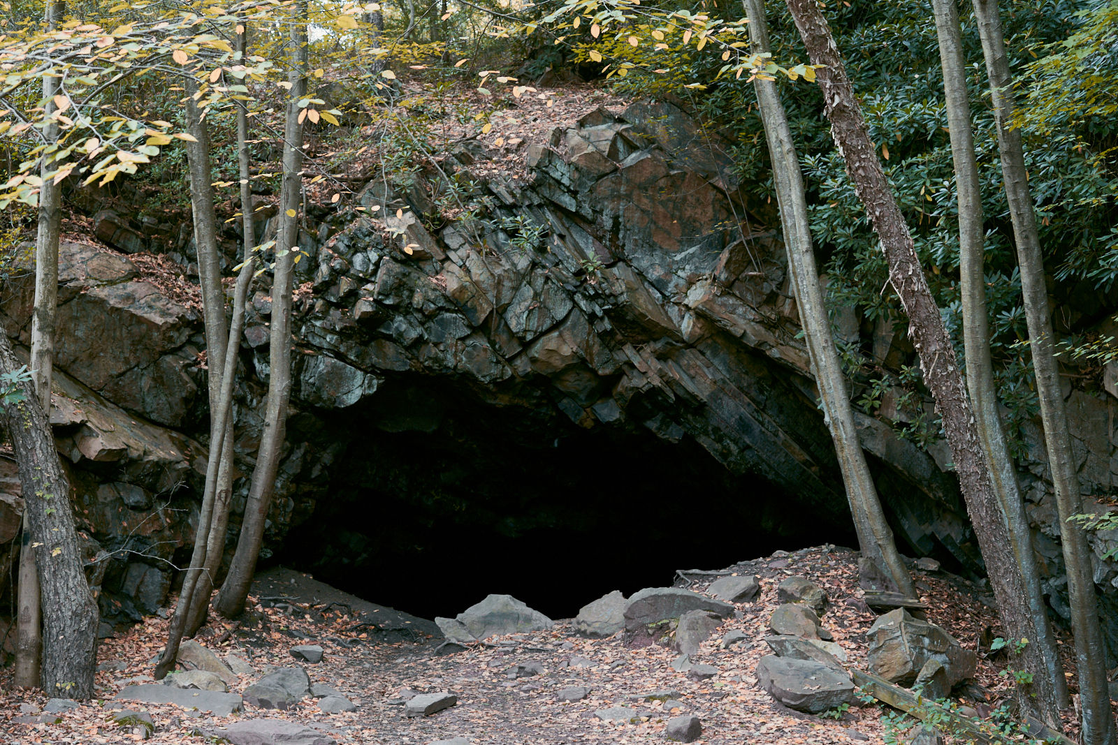 Jim Thorpe, Pennsylvania - Lehigh Gorge State Park - Pocono Mountains - fine art photography