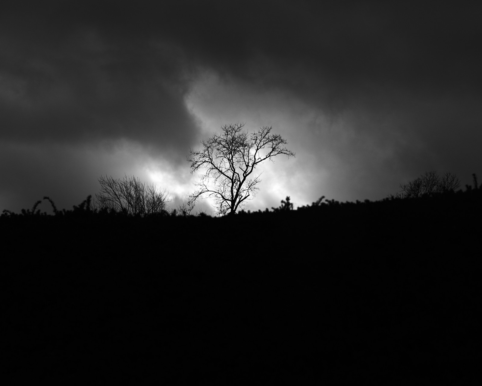 black and white fine art photography, Camp Hill, Pennsylvania, Pa, Harrisburg, nature, sky