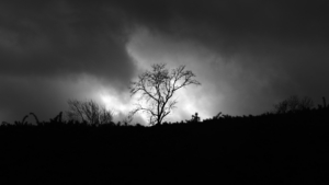 black and white fine art photography, Camp Hill, Pennsylvania, Pa, Harrisburg, nature, sky
