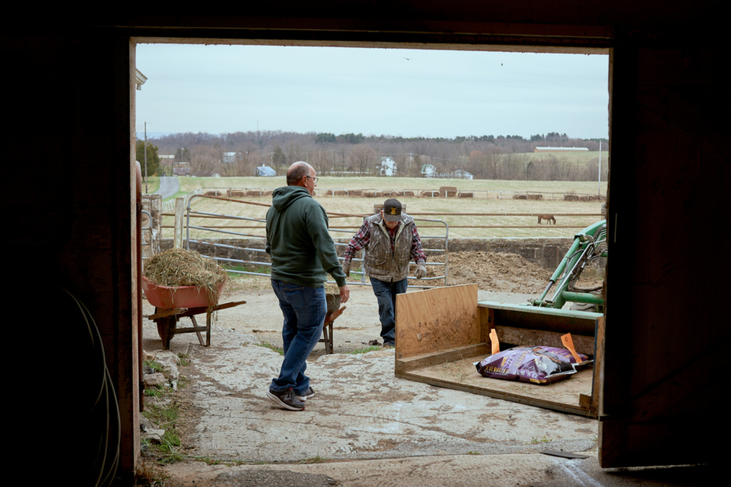 Big Sky Horse Farm, Carlisle, Pennsylvania, Documentary photography