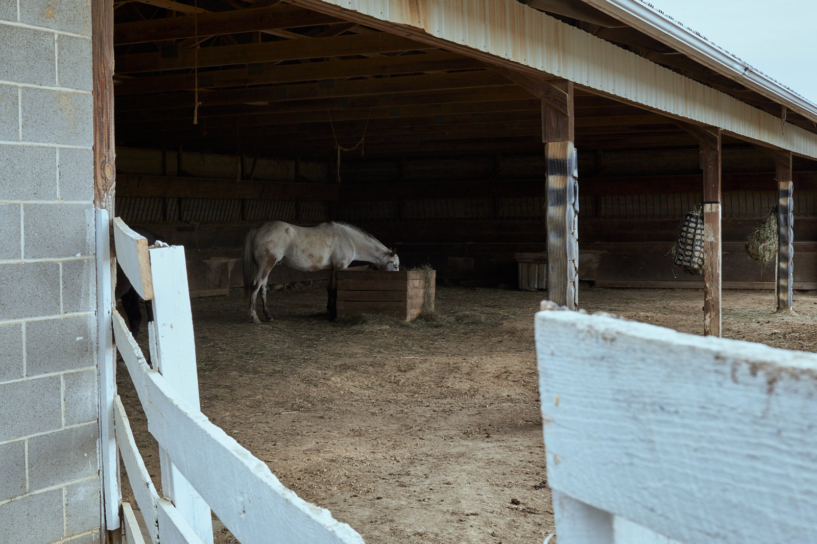 Big Sky Horse Farm, Carlisle, Pennsylvania, Documentary photography